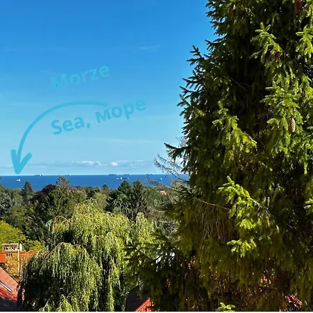 Nowy Deer Homestay *